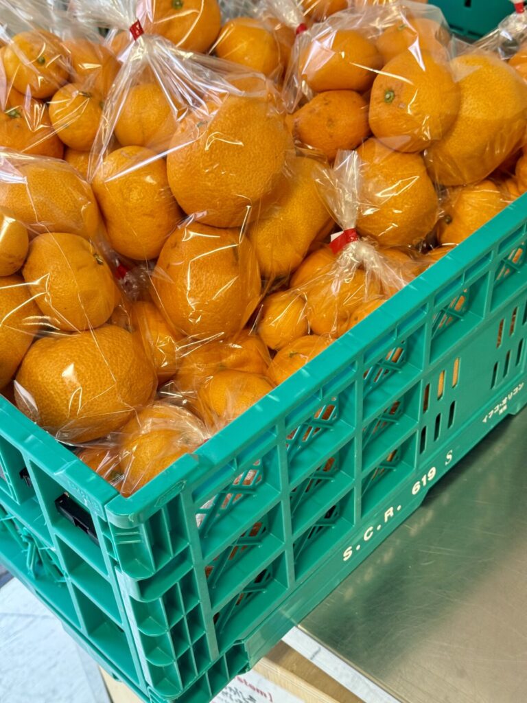 みかん無人販売